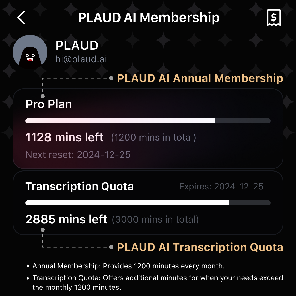 PLAUD AI Transcription Quota (3,000 mins)