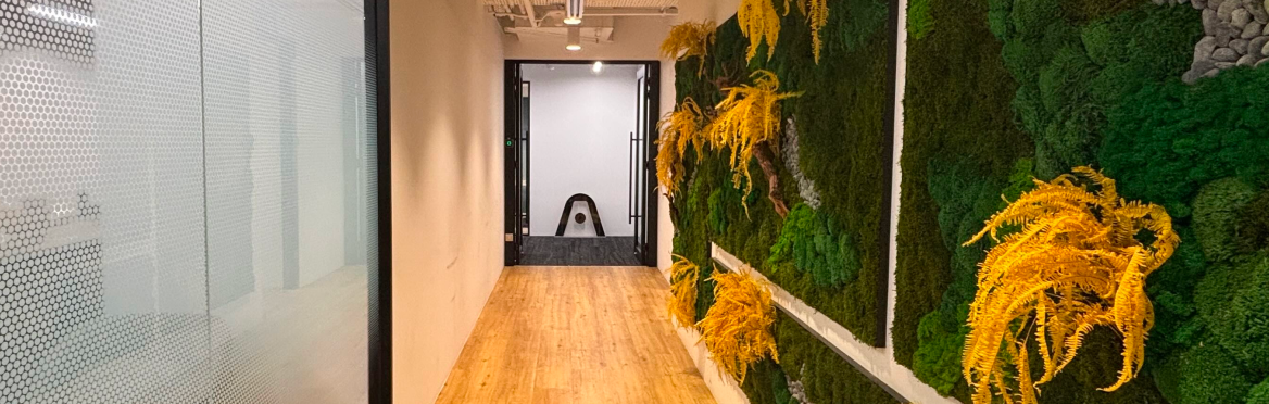 Modern office hallway featuring a green moss wall and the Plaud logo at the end of the corridor.